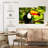 Brampt Toco Toucan-108699887