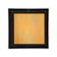 1 - Light Flush Mount