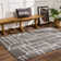 Kaern Abstract Gray Area Rug