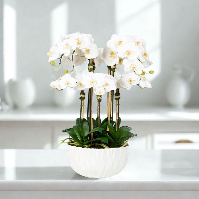 Orchid Arrangement In Vase, White