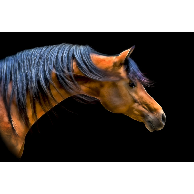 Wind Swept by PHBurchett - Graphic Art, 61 cm H x 91 cm W, Black Floater Framed