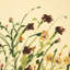 Mélange de fleurs sauvages par Shaina Page-2012170454
