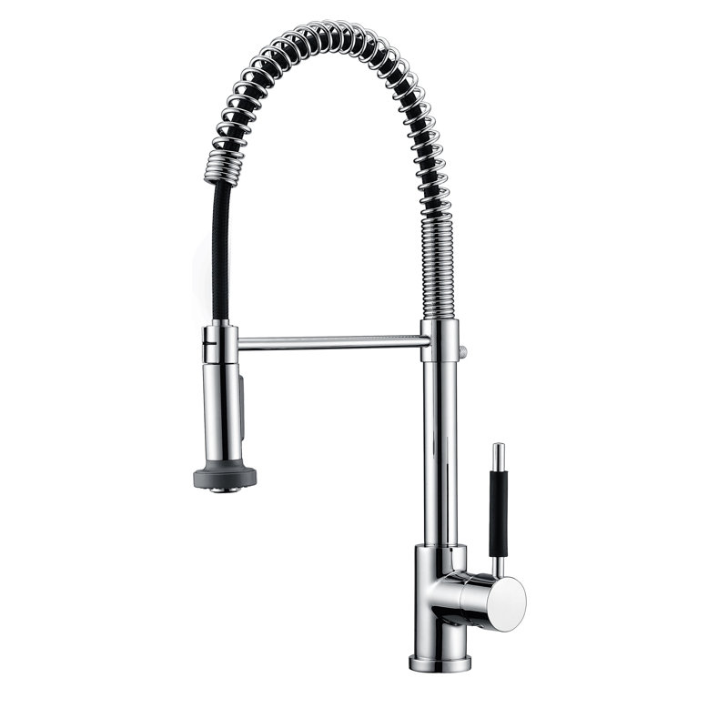 New Spec Inc Davetion Kitchen Faucet