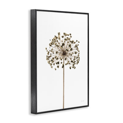  Art minimaliste de giclée d'allium par Deborah Revell