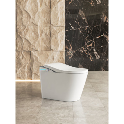 Smart Bidet Toilet with Remote Control Elongated One Piece Smart Toilet