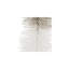 Faux pin - ensemble de 6 - H 18 po - platine / blanc