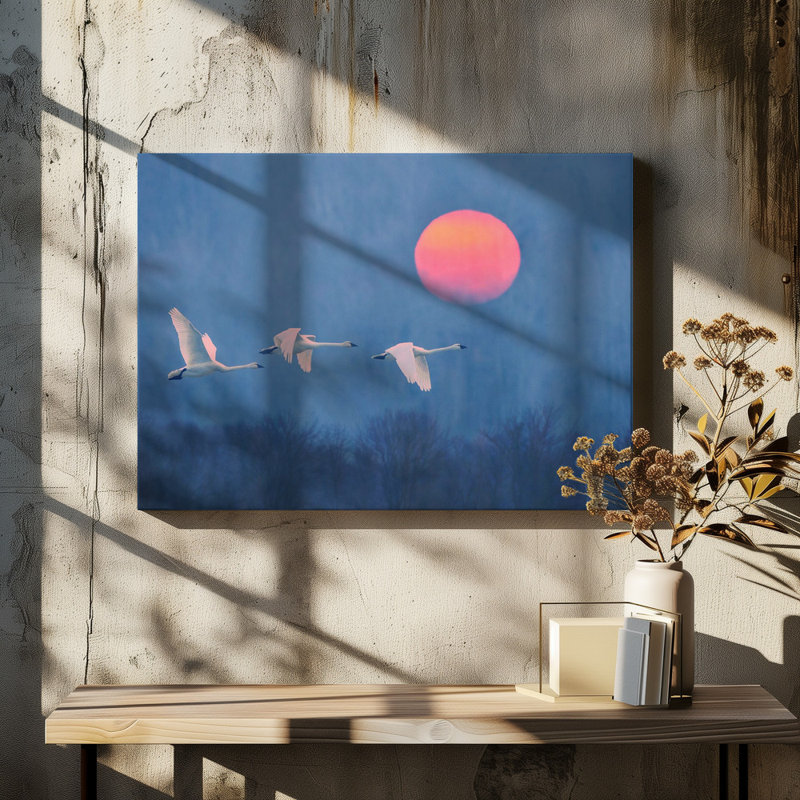 Wrapped Canvas Print, 50.8cm H x 76.2cm W