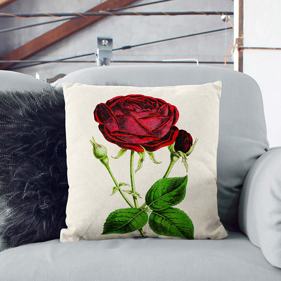 Illustration of a Red Prince Noir Rose Cushion with Filling