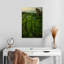 Gillard Mossy Vietnam Gillard-108397239