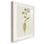 Mauve Garden Flowers IV - peinture encadrée-1603330262-1603330286