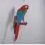 Statue grandeur nature perroquet Ara rouge