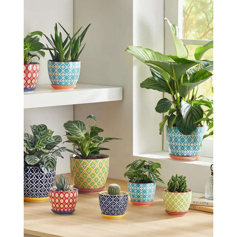 Petits pots à plantes 3,8 pouces avec trou de drainage et soucoupe
