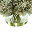 Hortensias en vase-1961224519