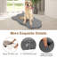 Edil Orthopedic Polyester Pet Bed-2096808697
