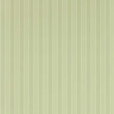 Semper Stripe