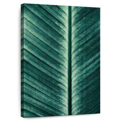 Harnek Palm Leaf Turning White