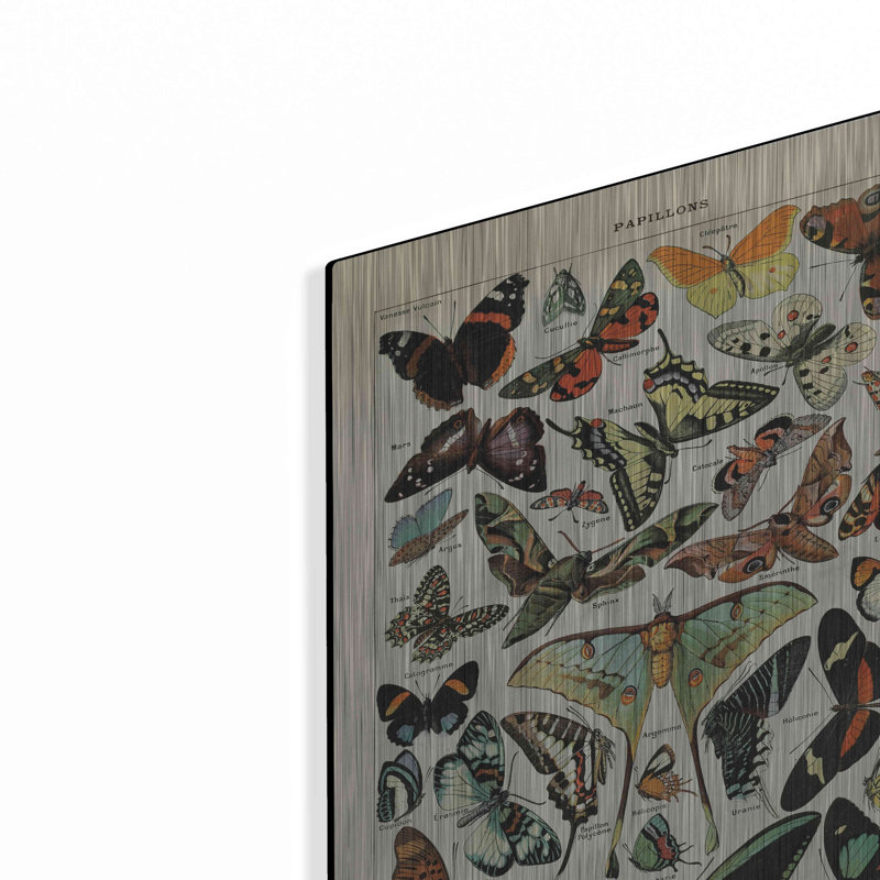 "Papillons 1" par Susan Ball, H 16 po x l 12 po