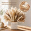 Ensemble de 340 bouquets de fleurs séchées préservées naturelles, centre de table de Noël rustique, remplisseur de vase de maison de campagne pour décoration intérieure et cadeau de Noël
