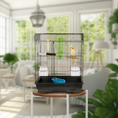 Starter Kit Bird Cage