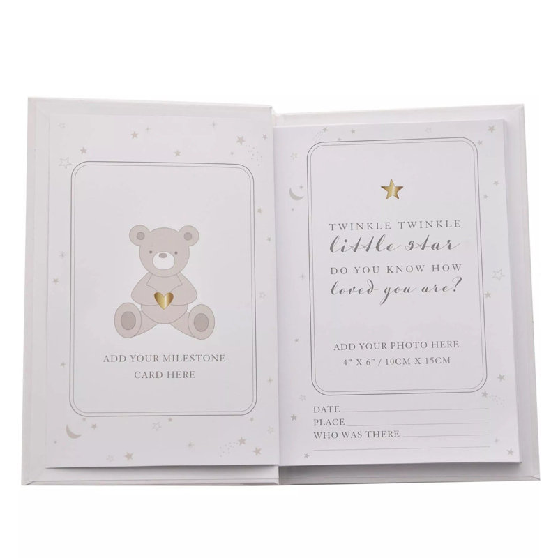 Paper/ Card Novelties Album
