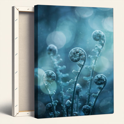 Fern Fronds, reproduction d'art sur toile, ensemble de 1