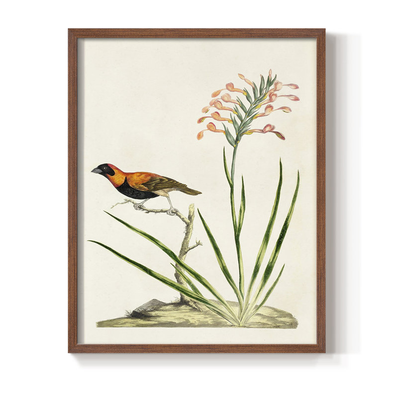 Bird in Habitat III, reproduction encadrée - bois massif, Brun, H 28 po x l 22 po