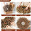 Élégante couronne de feuilles d'automne pour la porte d'entrée, décor de récolte rustique avec feuillage de buis pour maison de campagne et décoration saisonnière