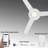 Delorice 52'' Ceiling Fan with LED Lights