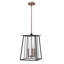 Walker 3-Light Outdoor Hanging Lantern