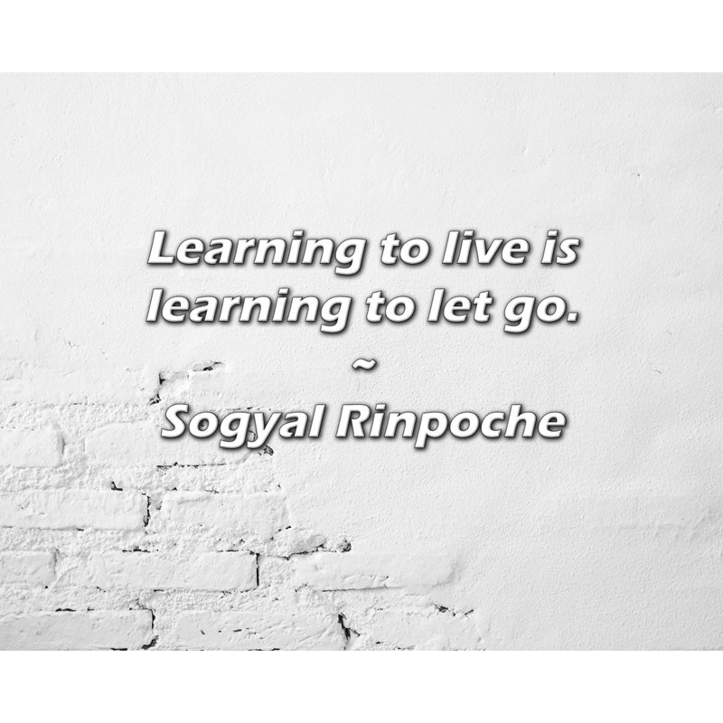 Citation de Sogyal Rinpoché: Apprendre à vivre, c'est apprendre à lâcher prise., H 15 po x l 18 po