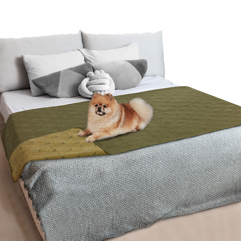 Polyester Pet Blanket, Olive Green, 30" x 70"