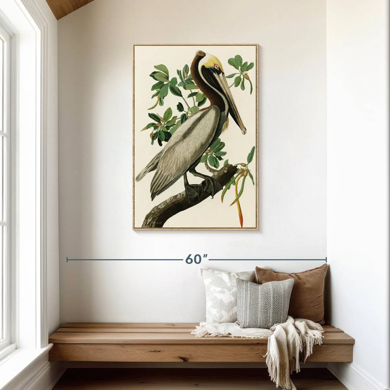 Pélican Audubon, Cadre flottant en bois naturel, 29 po x 43 po