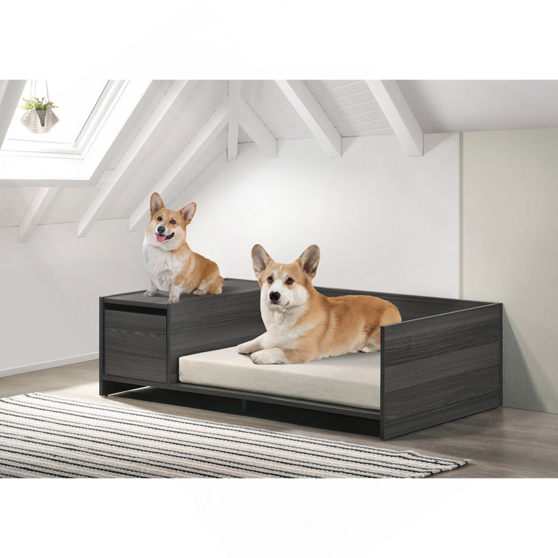 Lit pour animaux de compagnie moderne et confortable avec coussin et compartiment de rangement latéral Esme