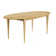 Angelet Cona Ellipse Dining Table