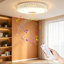 Acrylic Semi Flush Mount-14470546