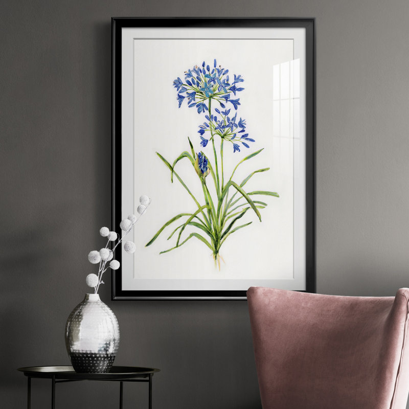 Blue Lived Botanical I - Cadre photo, reproduction d'art sur papier, H 26,5 po x l 36,5 po x P 1,5 po, Noir