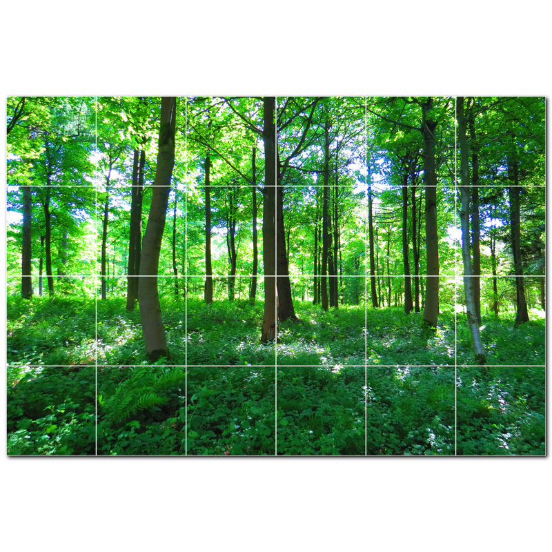 Trees Photo Decorative Mural