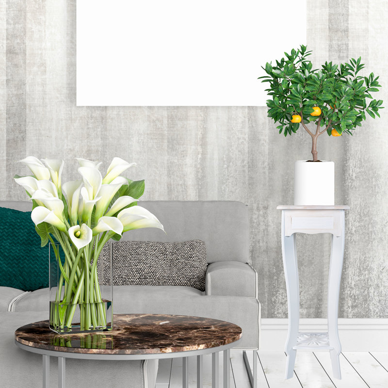 Algertha Plant Stand