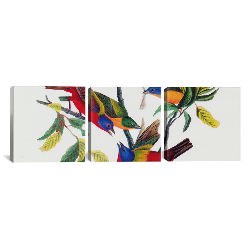 «Painted Bunting» par John James Audubon, estampe numérique sur toile tendue 3 pièces, H 16 po x l 48 po x P 1,5 po