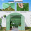 Walk In Polytunnel 300*200*200 cm Iron 1 Piece Walk-in Greenhouse Green with UV-resistant PE Cover