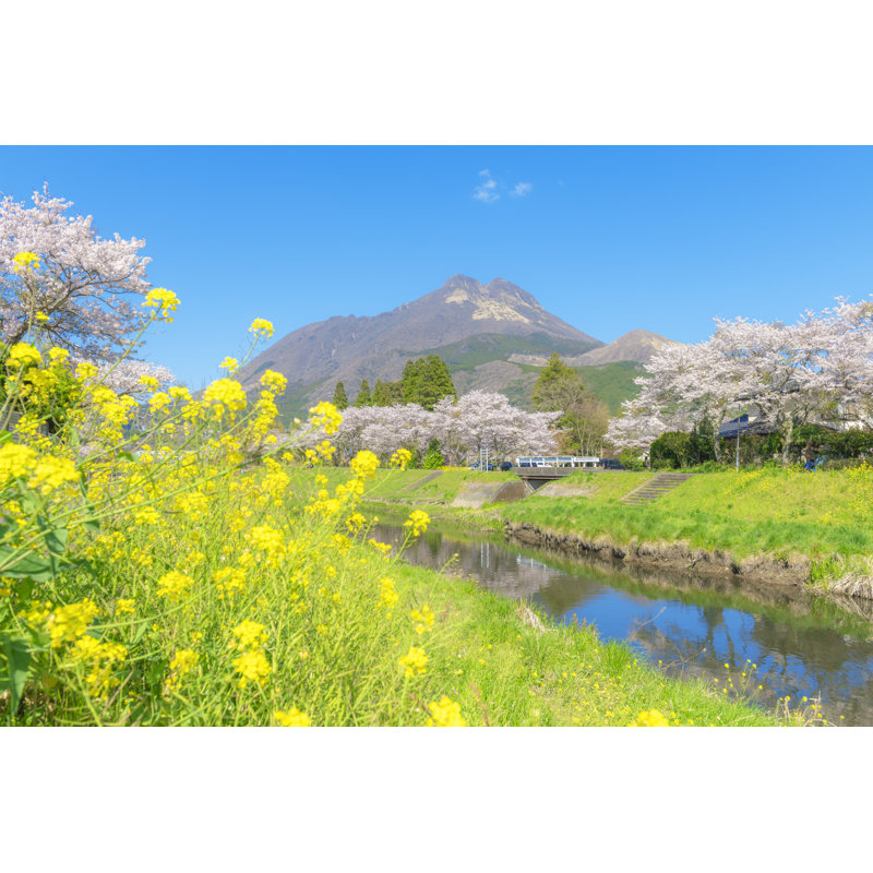 Freeland Yufuin In Spring - Wrapped Canvas Print, 51cm H x 76cm W x 3.8cm D