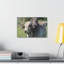 No Frame Print on Canvas-1396428859