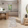Millyr Washable Oriental Rug