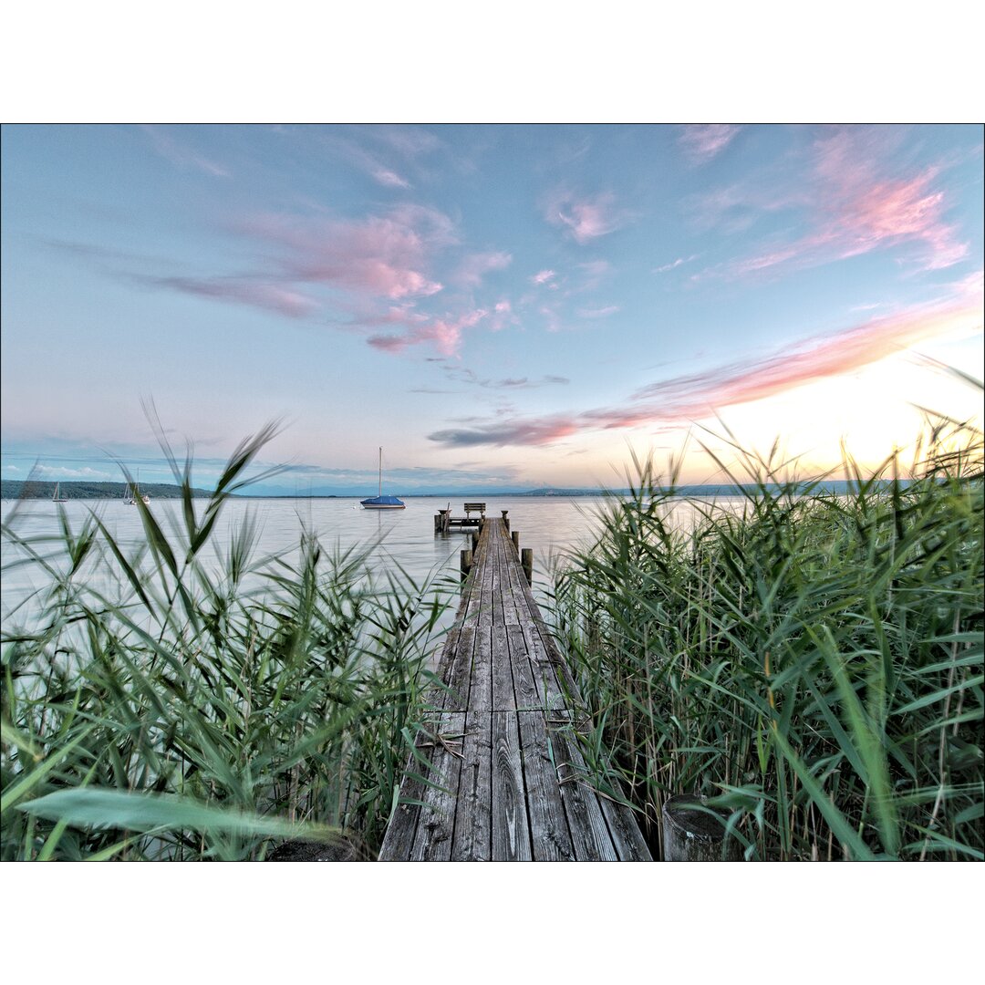 Leinwandbild Grass & Lake