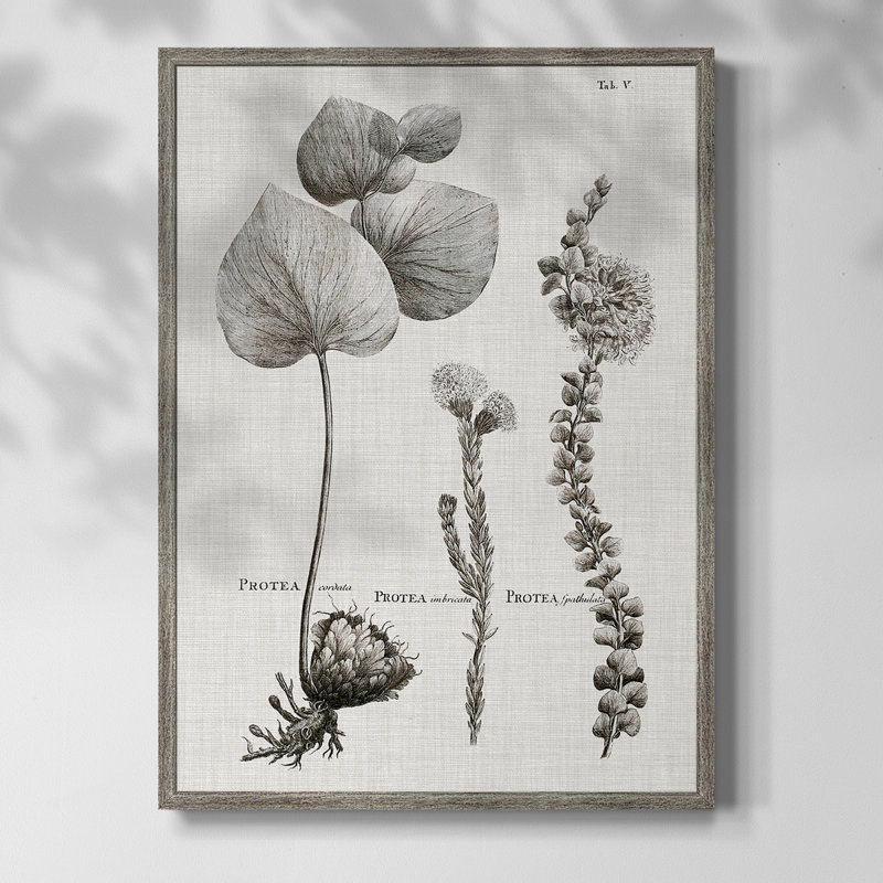 Black & White Protea on Linen II Framed Print - Solid Wood, 21" H x 17" W
