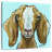 Goat Square Blue-109221177