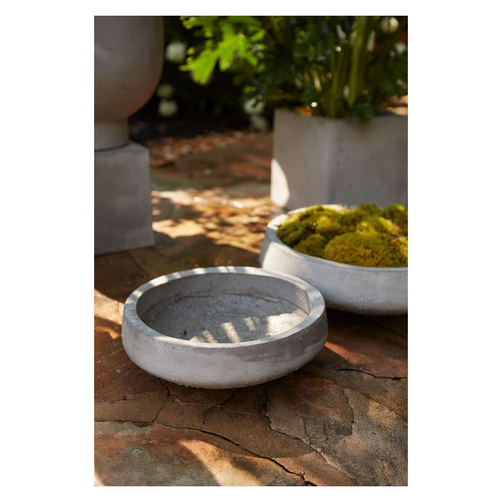 Concrete Pot Planter