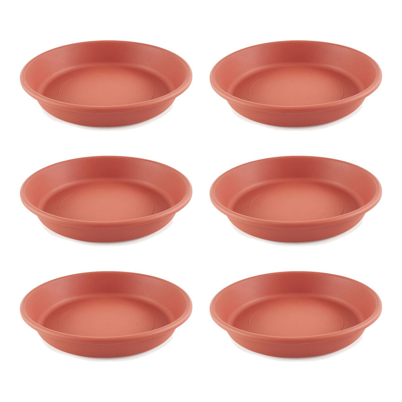 Gwenn Saucer Plant Stand, 6