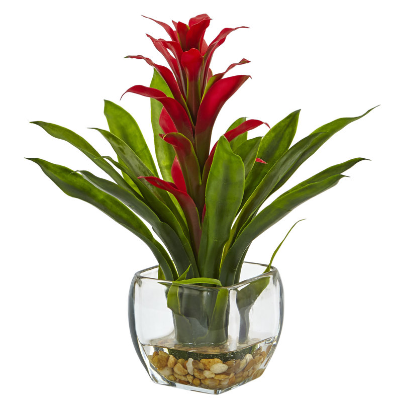 Arrangement floral broméliacées dans un vase, Rouge