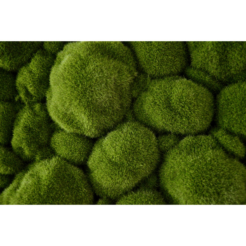 Landscape & Nature Resin Wall Decor